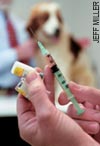 Syringe